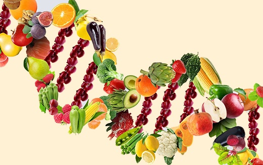 Nutrigenomics